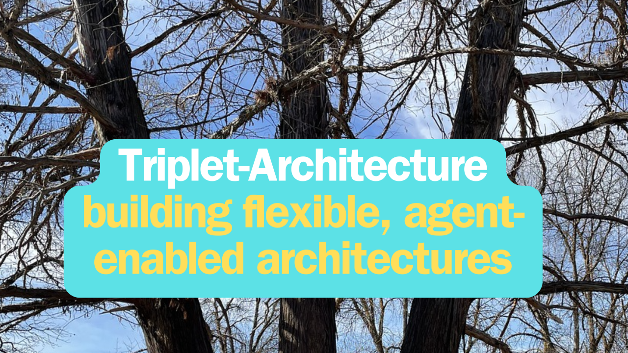 The Triplet Architecture - Building Flexible, Agent-Enabled Systems